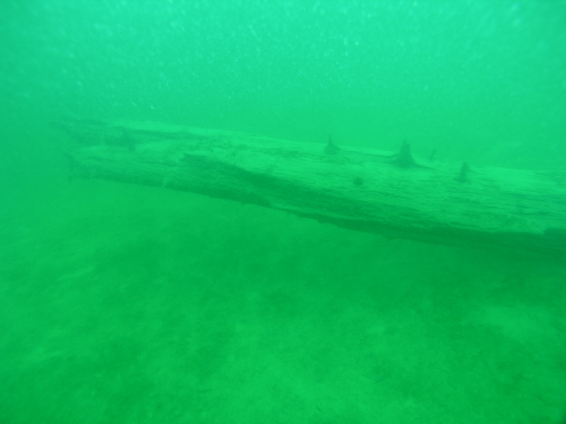 Attersee - Bild 25 von 56 - mehr Bäume                 