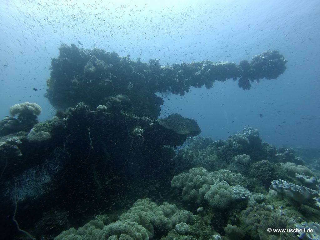 Fujikawa Maru 