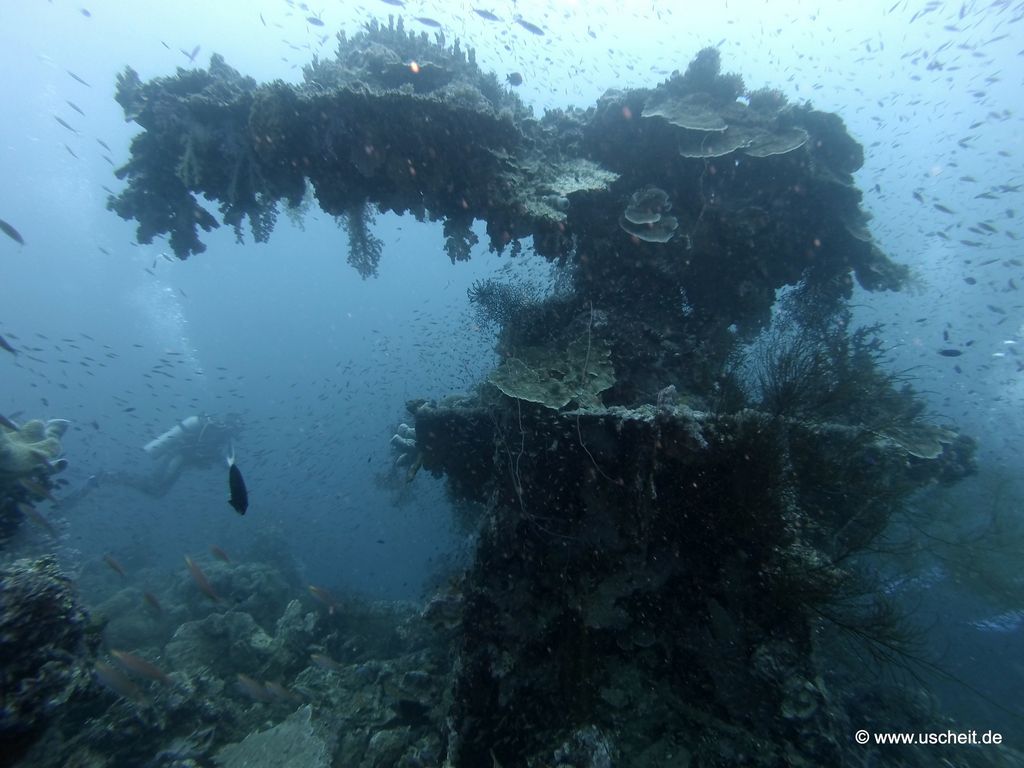 Shinkoku Maru 