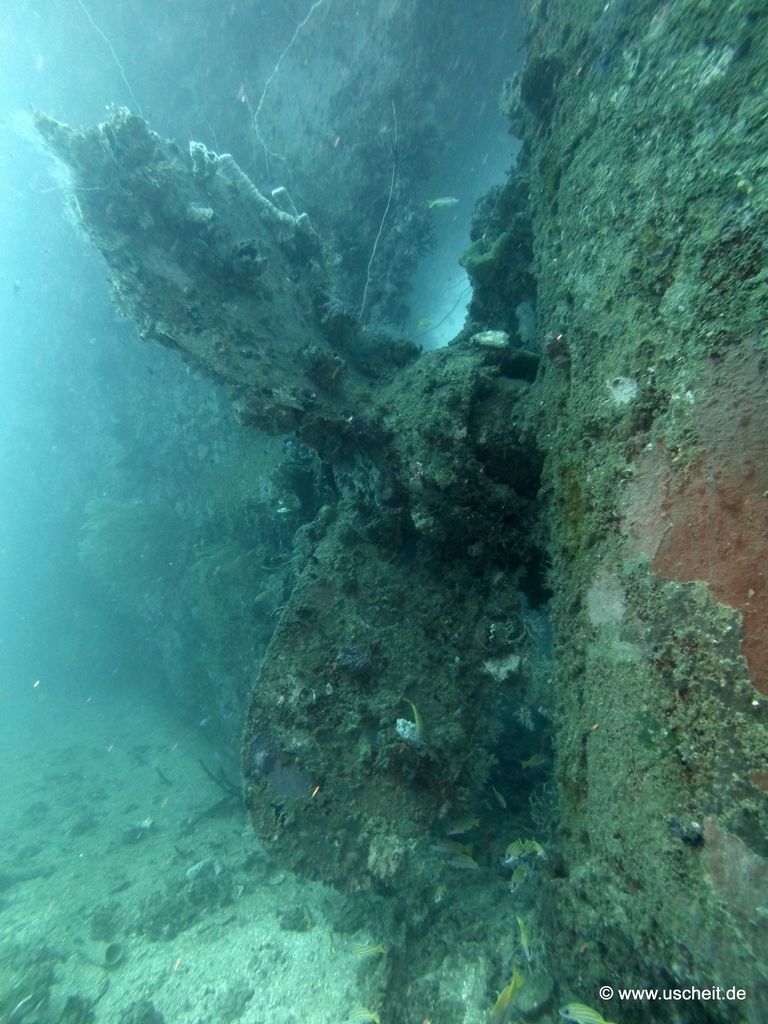 Fujikawa Maru 