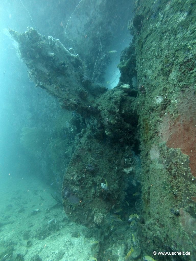 Fujikawa Maru 