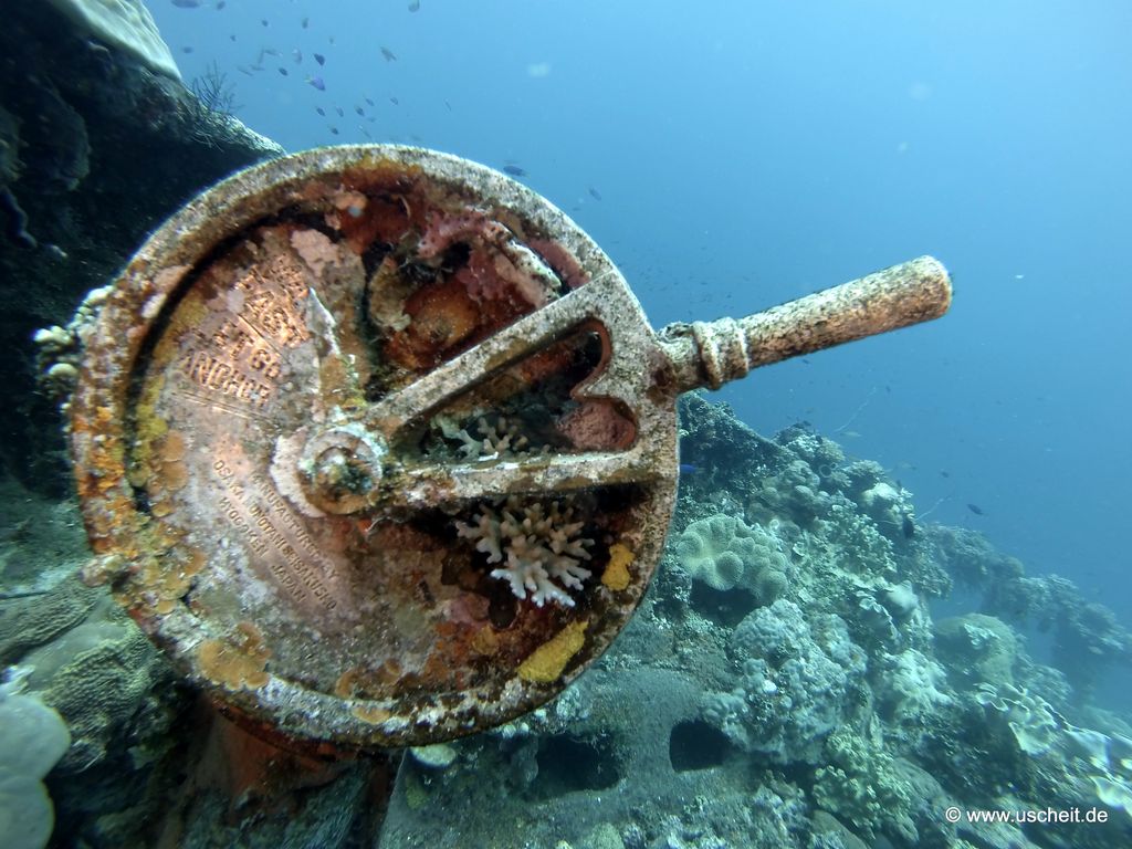 Fujikawa Maru 