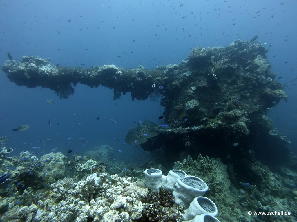 Fujikawa Maru 