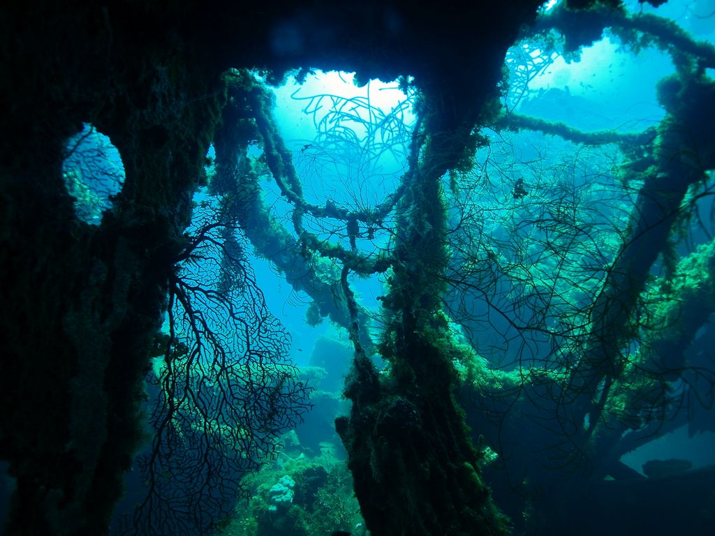 Fujikawa Maru Fujikawa Maru 