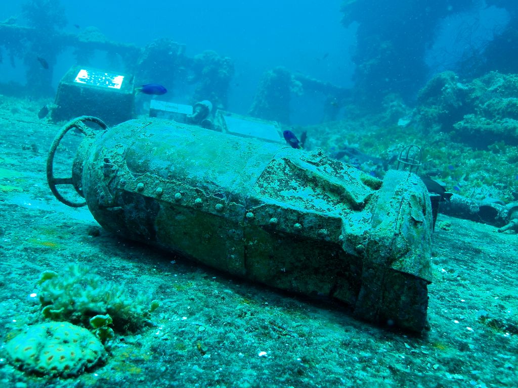 Fujikawa Maru 