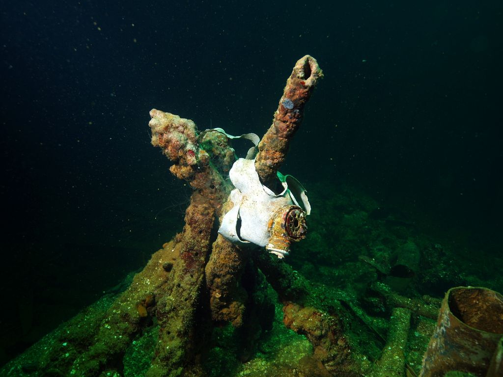 Fujikawa Maru 