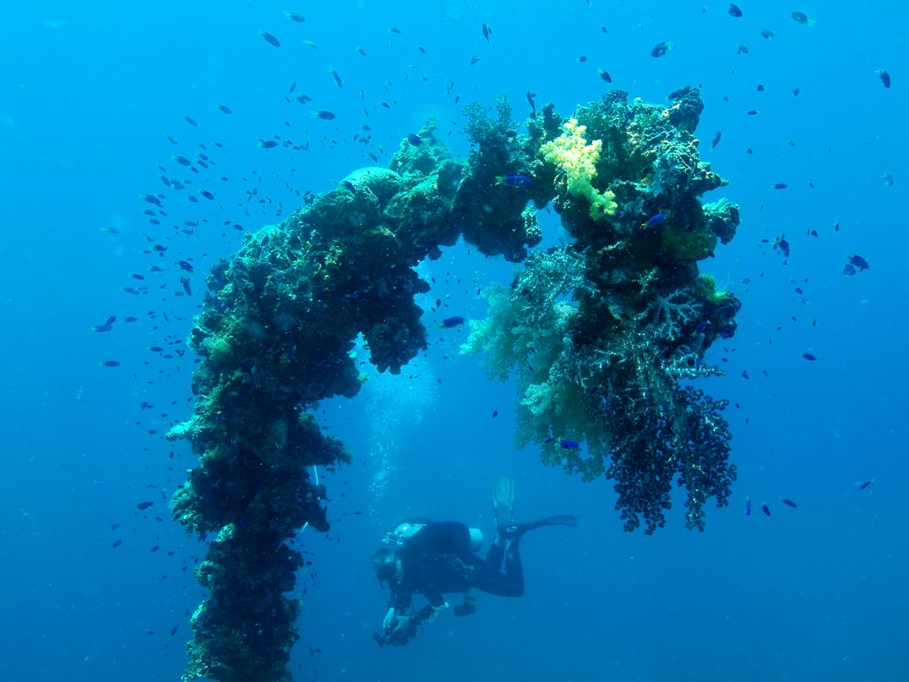 Fujikawa Maru 