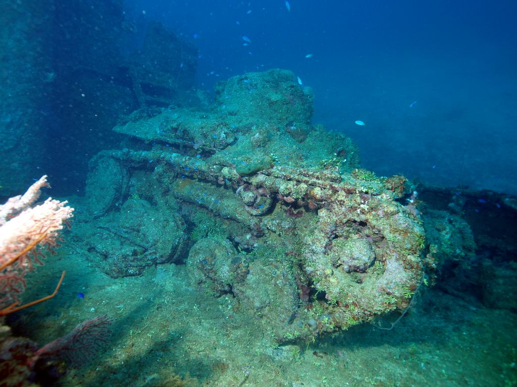 Truk Lagoon, Panzel auf der Nippo Maru 