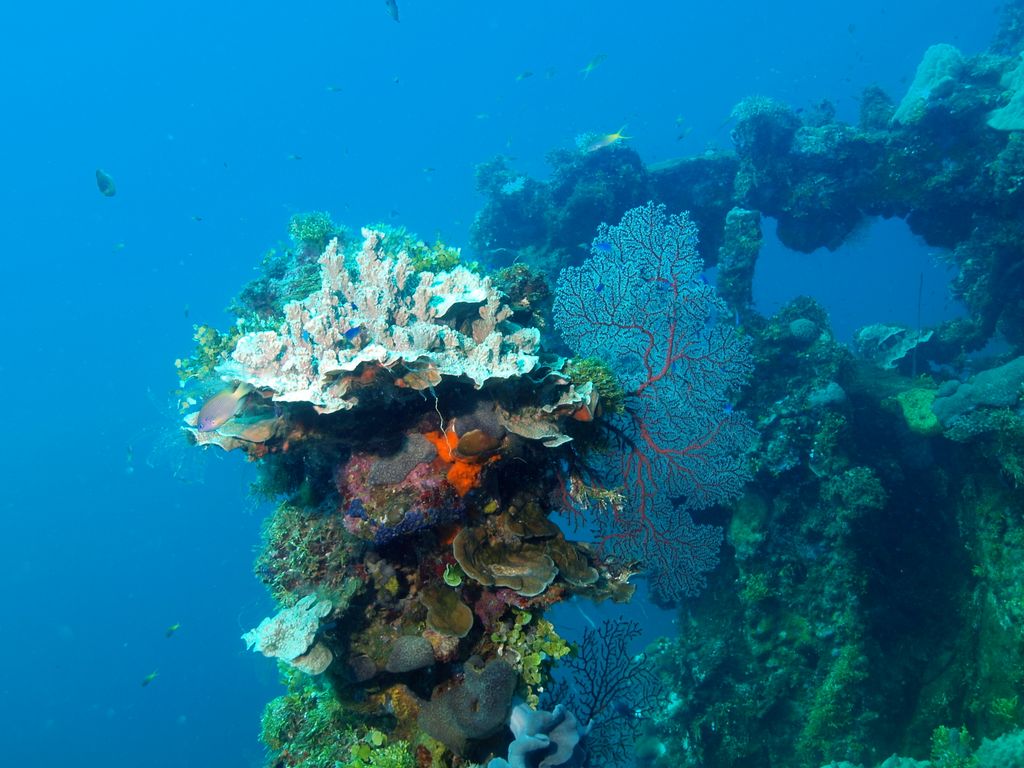 Sankisan Maru 