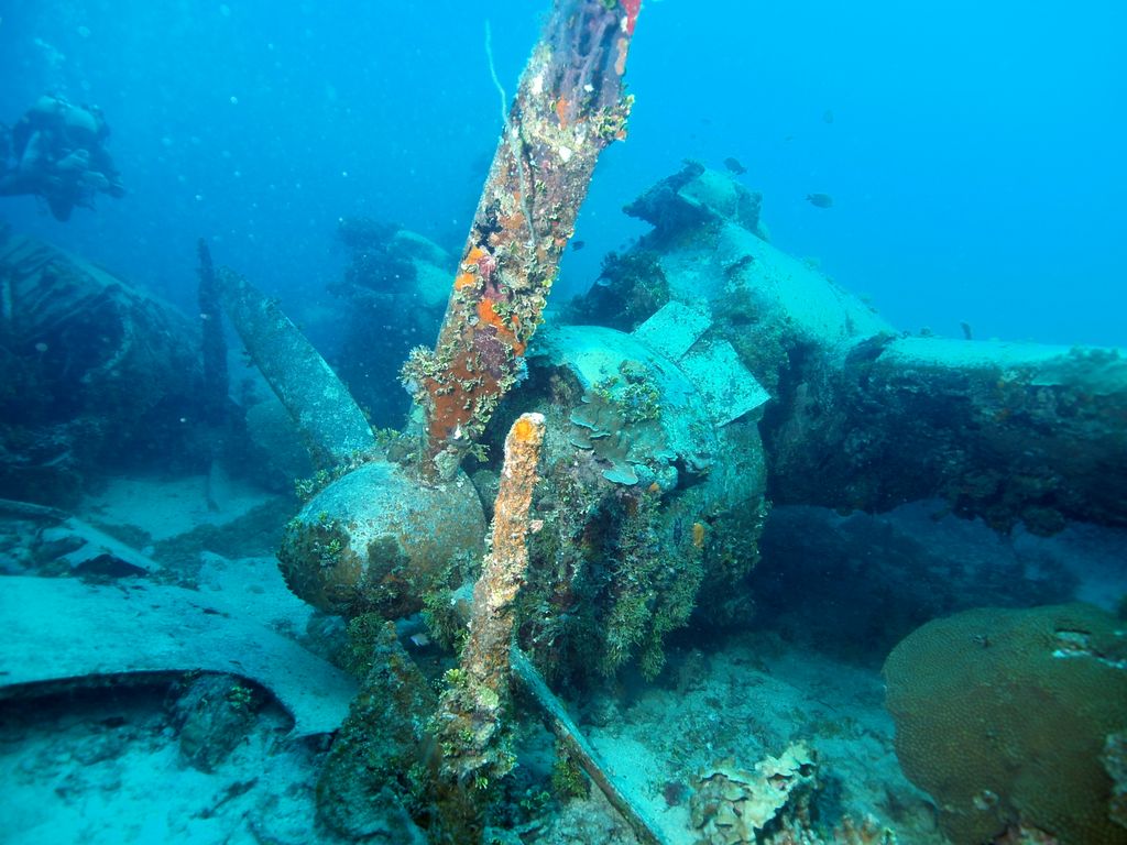 Emily Flying Boat 