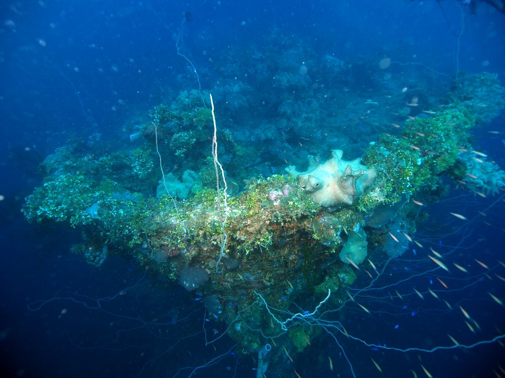 Seiko Maru 