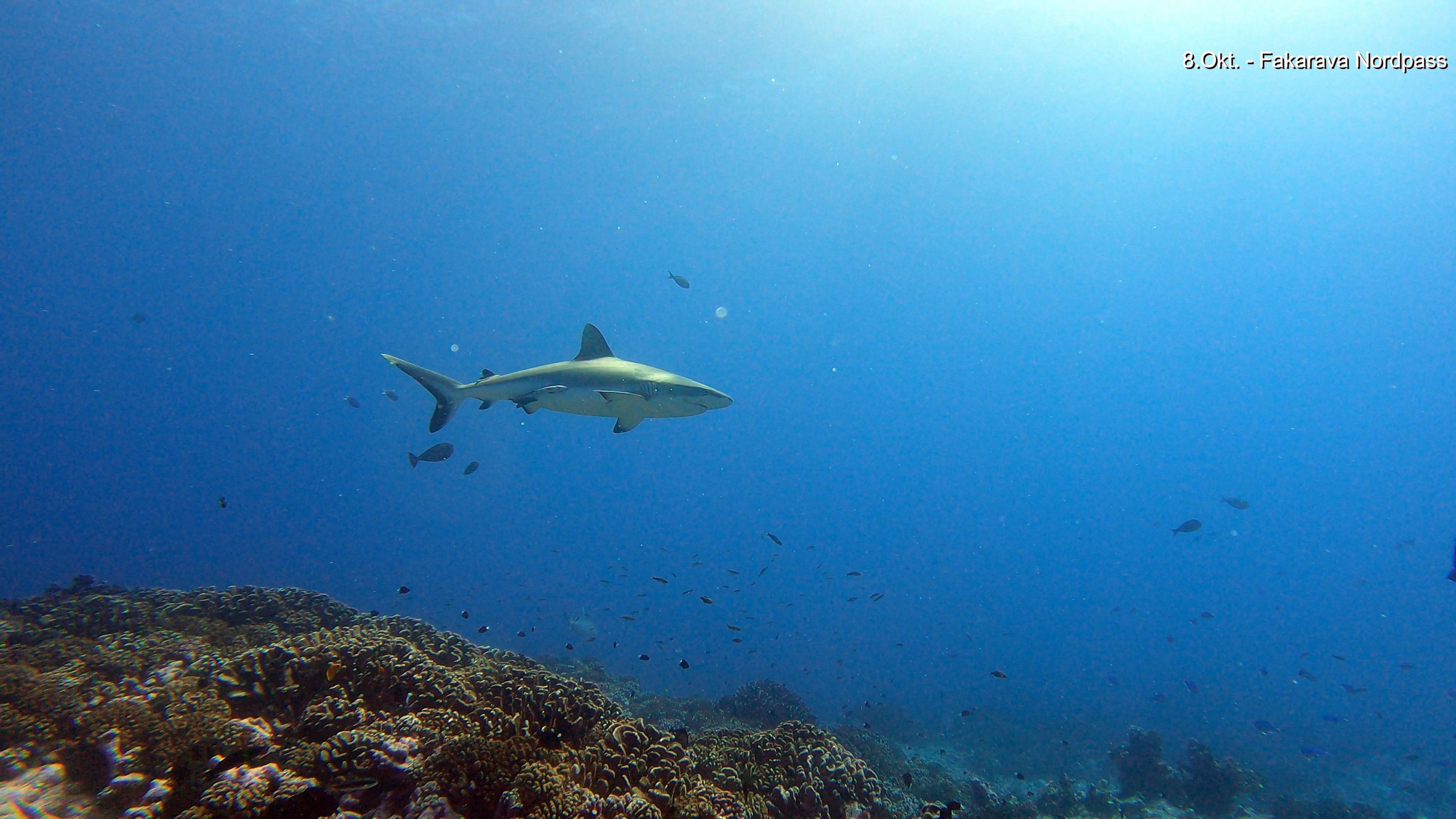 image 139 von 197