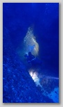 out to the blue Bild