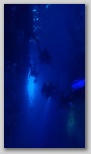 out to the blue Bild