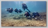 TSC Tauchgruppe Bild
