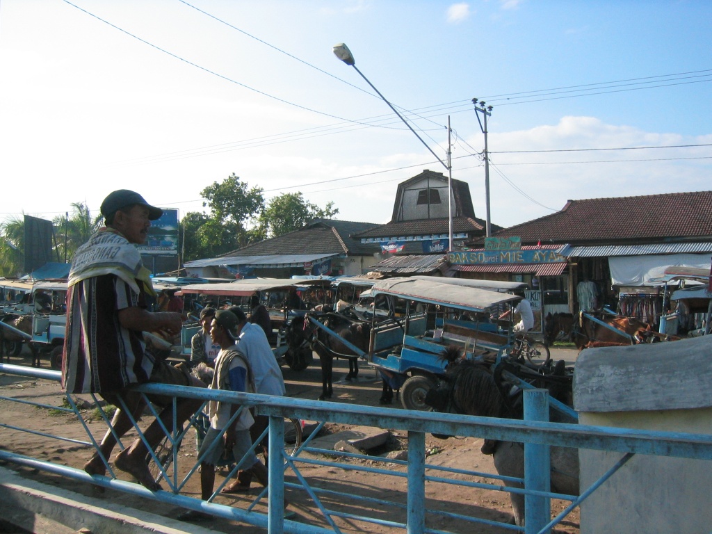 Indonesien - Bild 16 von 67 - Lombok - Land - Sengigi