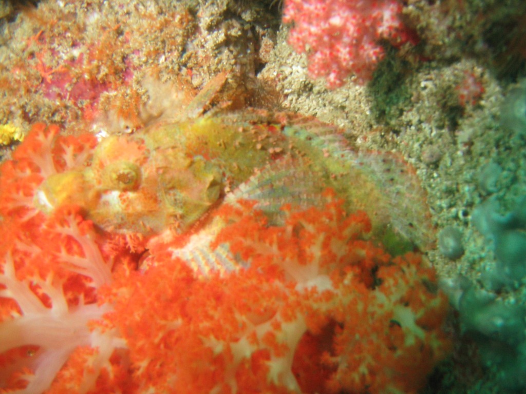 Indonesien - Bild 18 von 67 - Lombok - Wasser - Drachenkopf