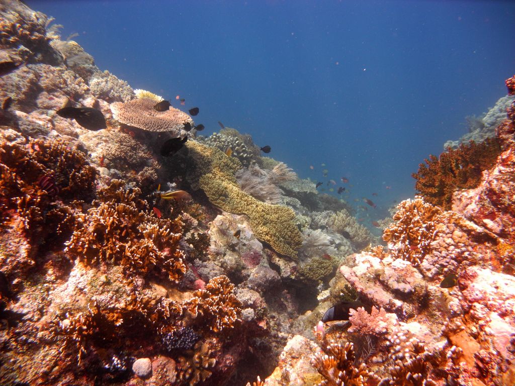 Indonesien 2012
