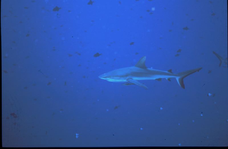 image046d.jpg
