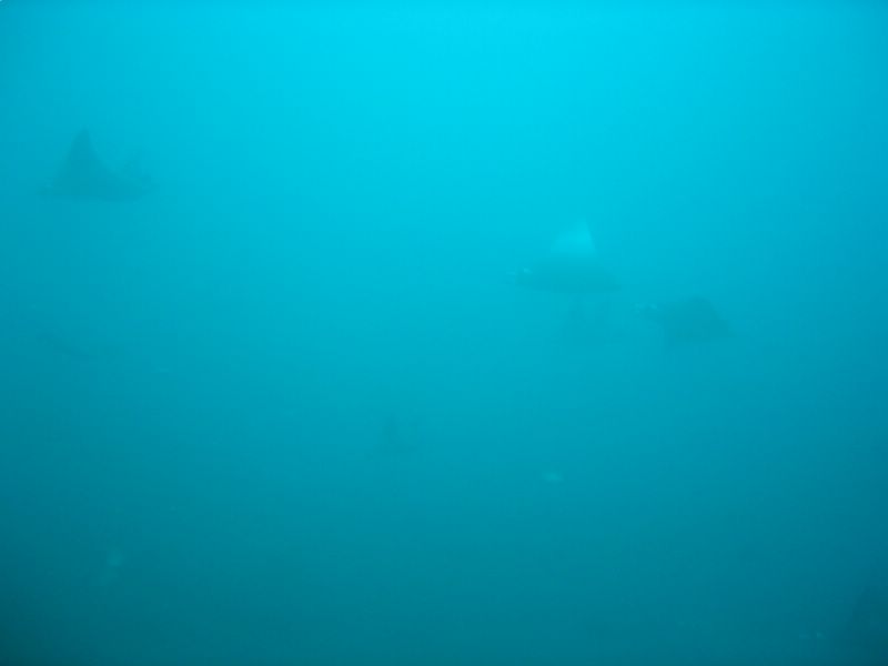 img_6001.jpg