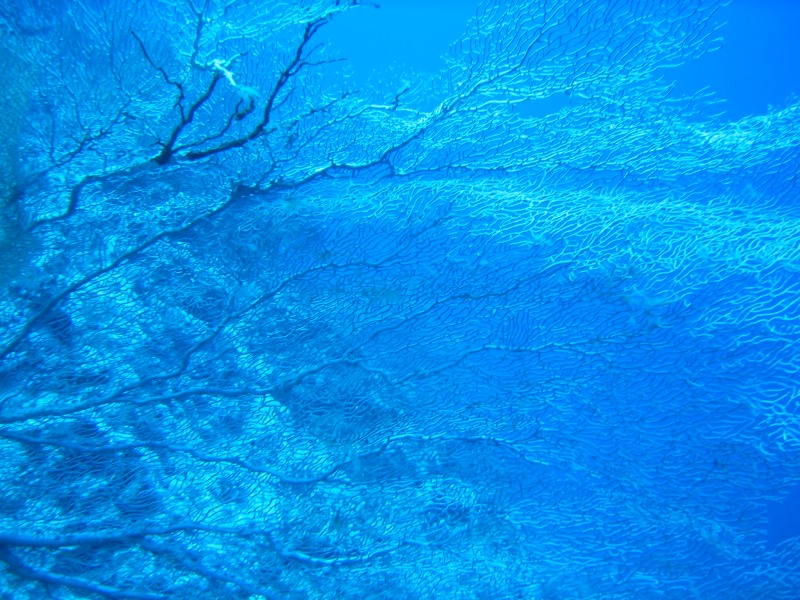 Suedtour - Bild 18 von 24 - Deep blue
