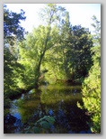 ein weiterer Fluss Bild, ohne Titel
