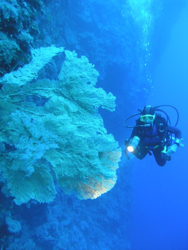 Große Marinepark Tour - Bild 65 von 110 - überfrauengross      