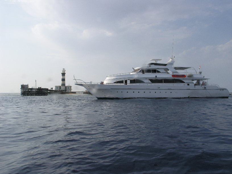 Große Marinepark Tour - Bild 1 von 110 - Thunderbird          