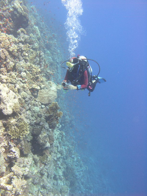 Große Marinepark Tour - Bild 63 von 110 - Riffhang             